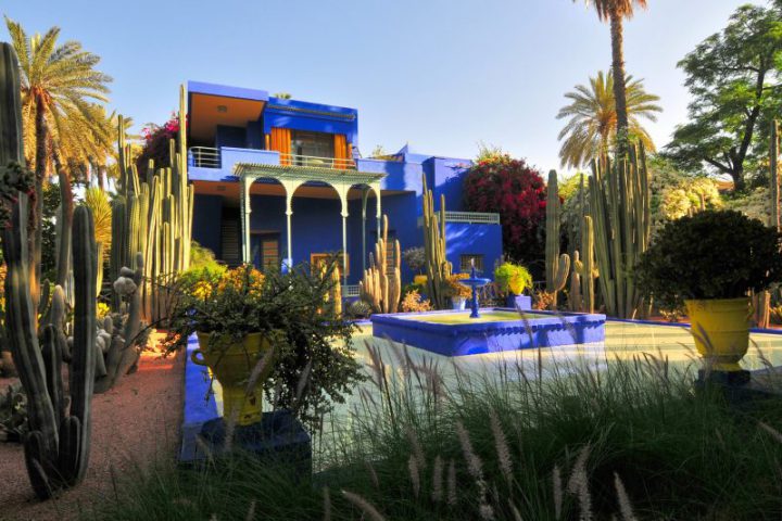 Marrakech-Gardens-day-trip-1-800x600