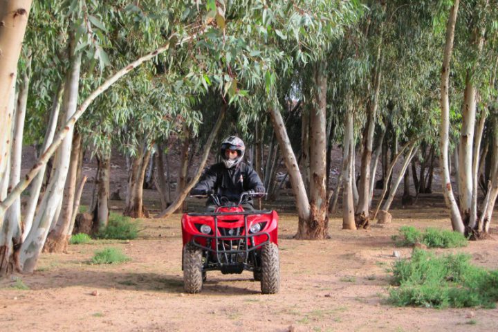 QuadBike09 (2)