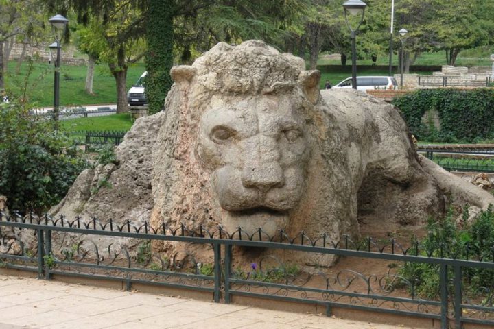ifrane_lion