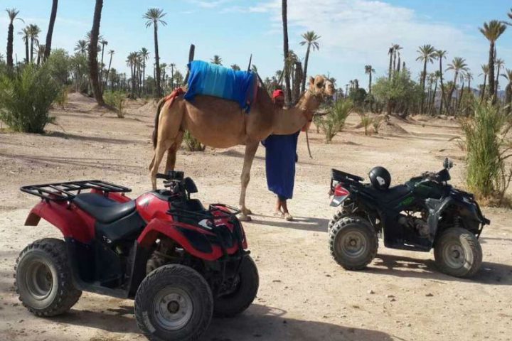 quad-and-camel-ride-combined